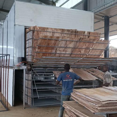 Veneer Dryer Exported to Africa