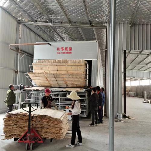 SingleTunnel Veneer Dryer  in Jiangsu