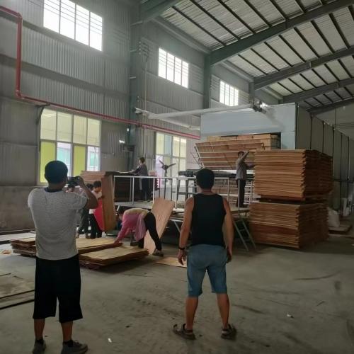 Plywood veneer dryer in  Linyi