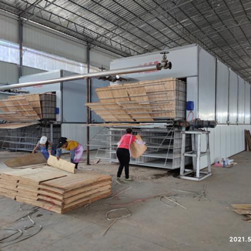 Plywood veneer dryer Installed in  Liuzhou