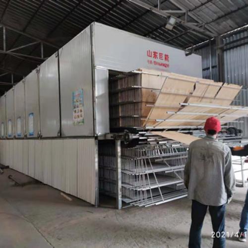 Wood Veneer Dryer  in  Shuyang