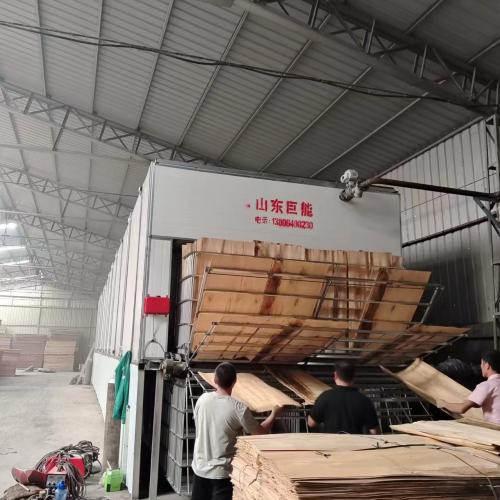 Wood Veneer Drying Machine in Xuzhou