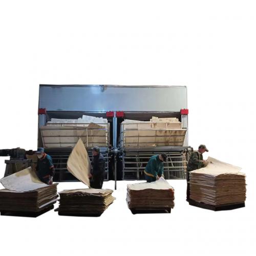 Double-Tunnel Plywood Wood Veneer Drying Machine 